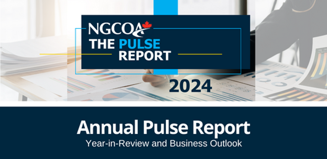 Annual Pulse Report 2024