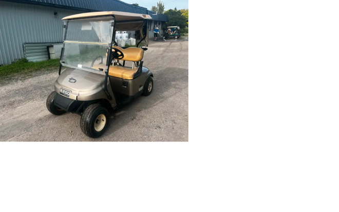 2014 EZGO TXT 48 Electric Golf Carts for Sale2